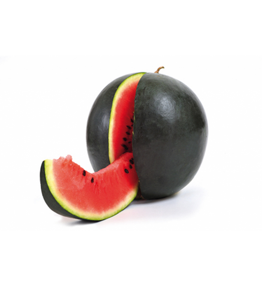 Plantón Sandia Negra (10 Unidades)_0