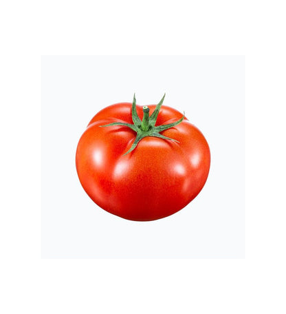 Plantón Tomate Gordo De Suelo (10 Unidades)_0