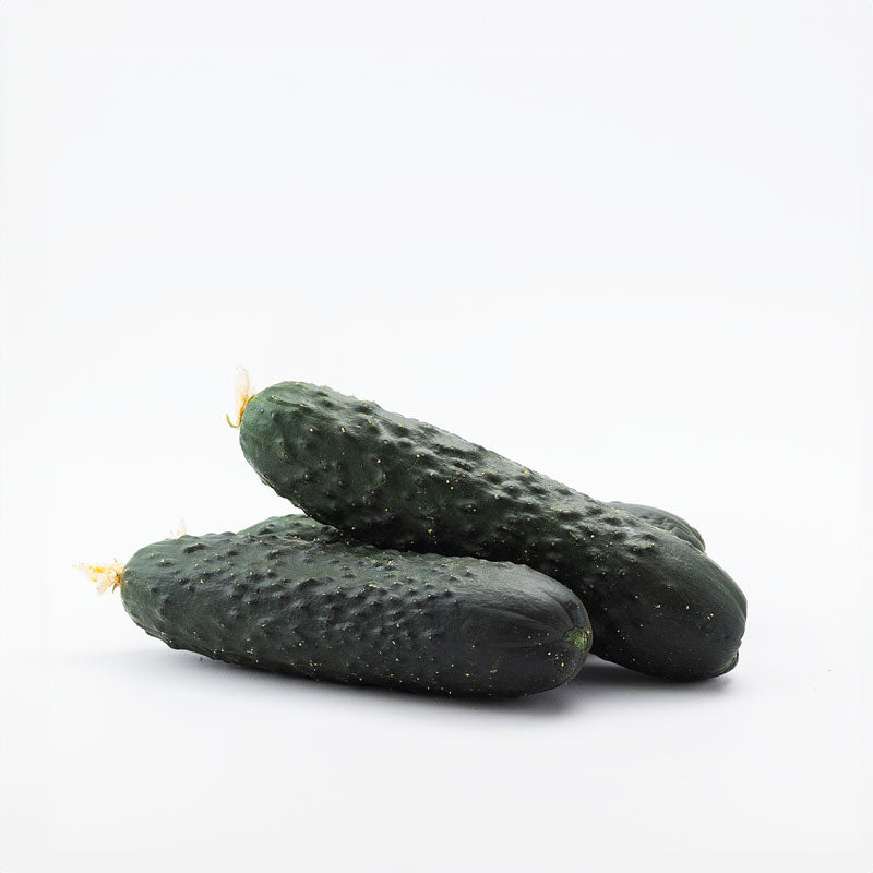 Pepinos directos desde el campo 1/2 Kg_1