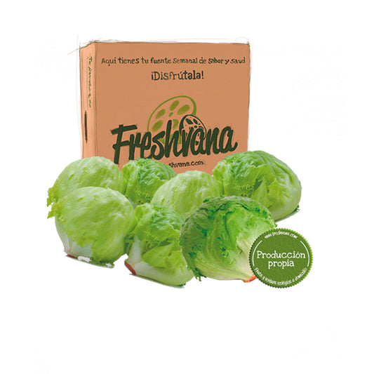 Caja De Lechugas Iceberg Ecológicas Freshvana 5 Ud_0