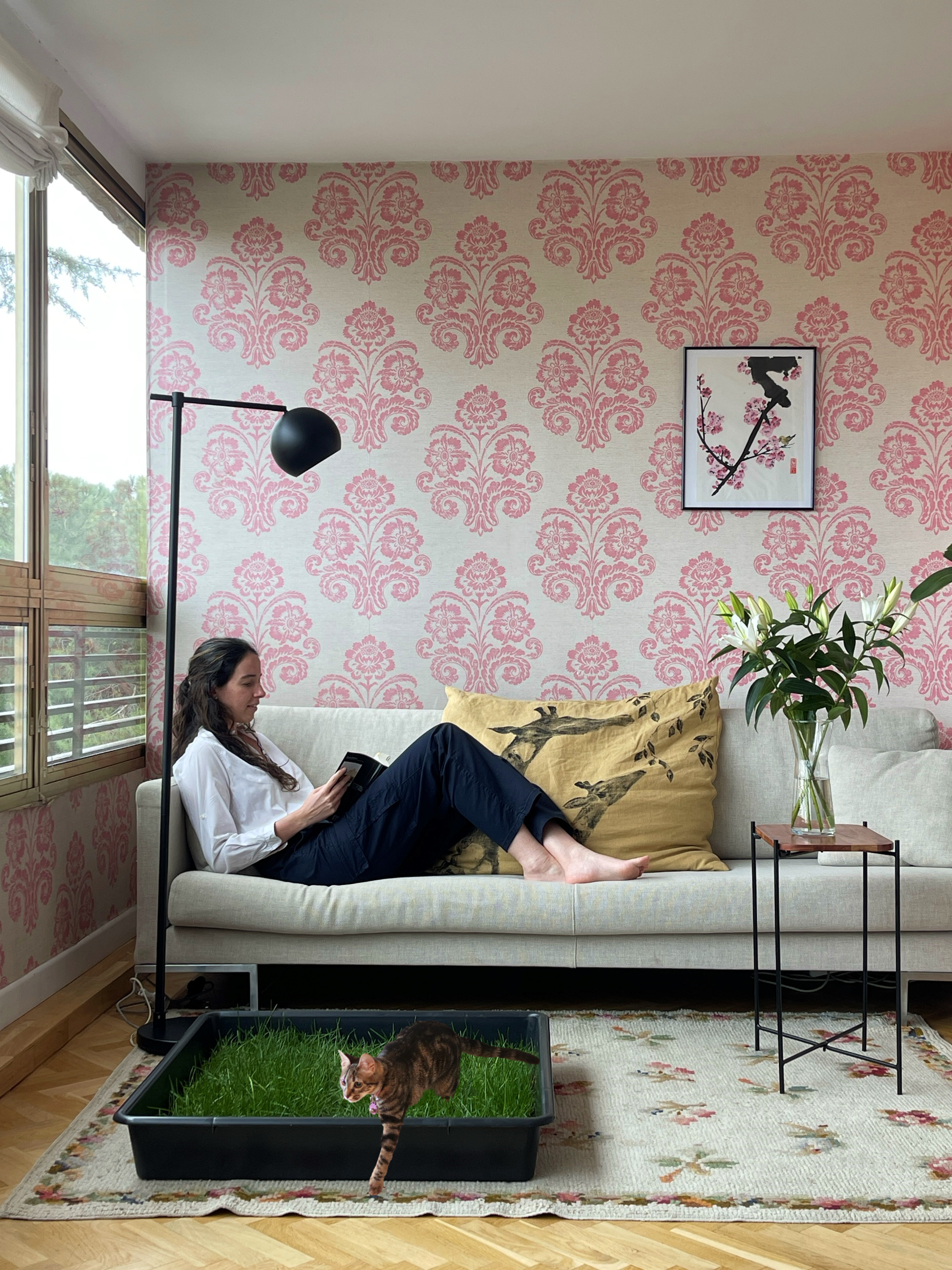 Petground, Arenero Para Gatos, Cama De Césped Natural, Hierba Gatera, Alfombra Olfativa XXL_3