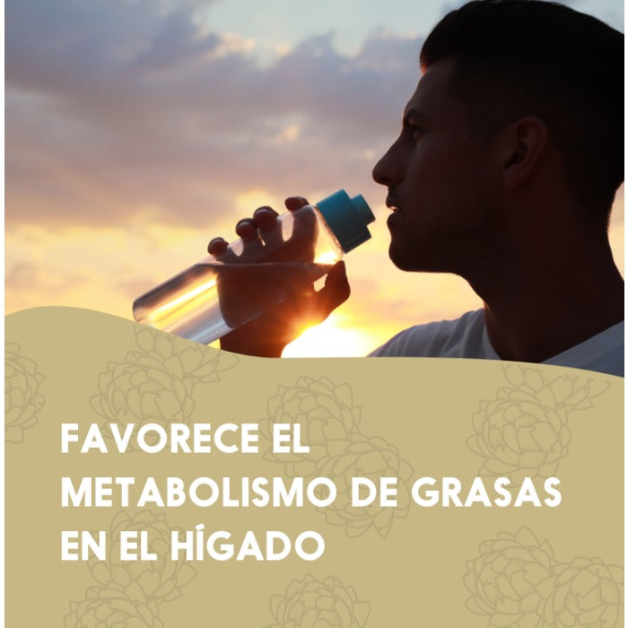 Detox Natur 45 días Hígado N2 Natural Nutrition 90 cápsulas