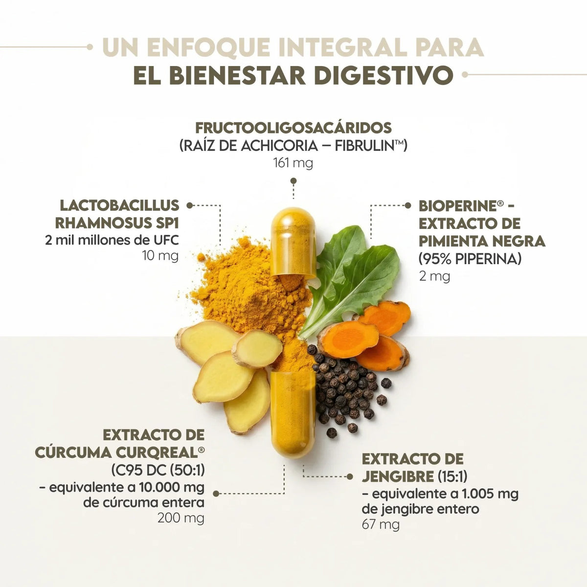 Curcumin Biotics + Piperina 130 días Antiinflamatorio N2 Natural Nutrition 130 cápsulas