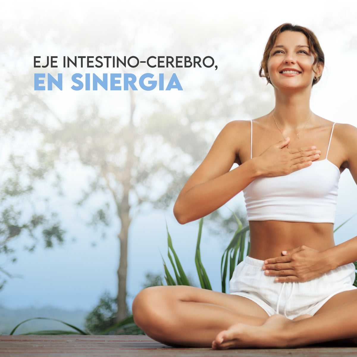 Zen Biotics Ashwagandha + Rhodiola 30 días Relajación N2 Natural Nutrition 60 cápsulas