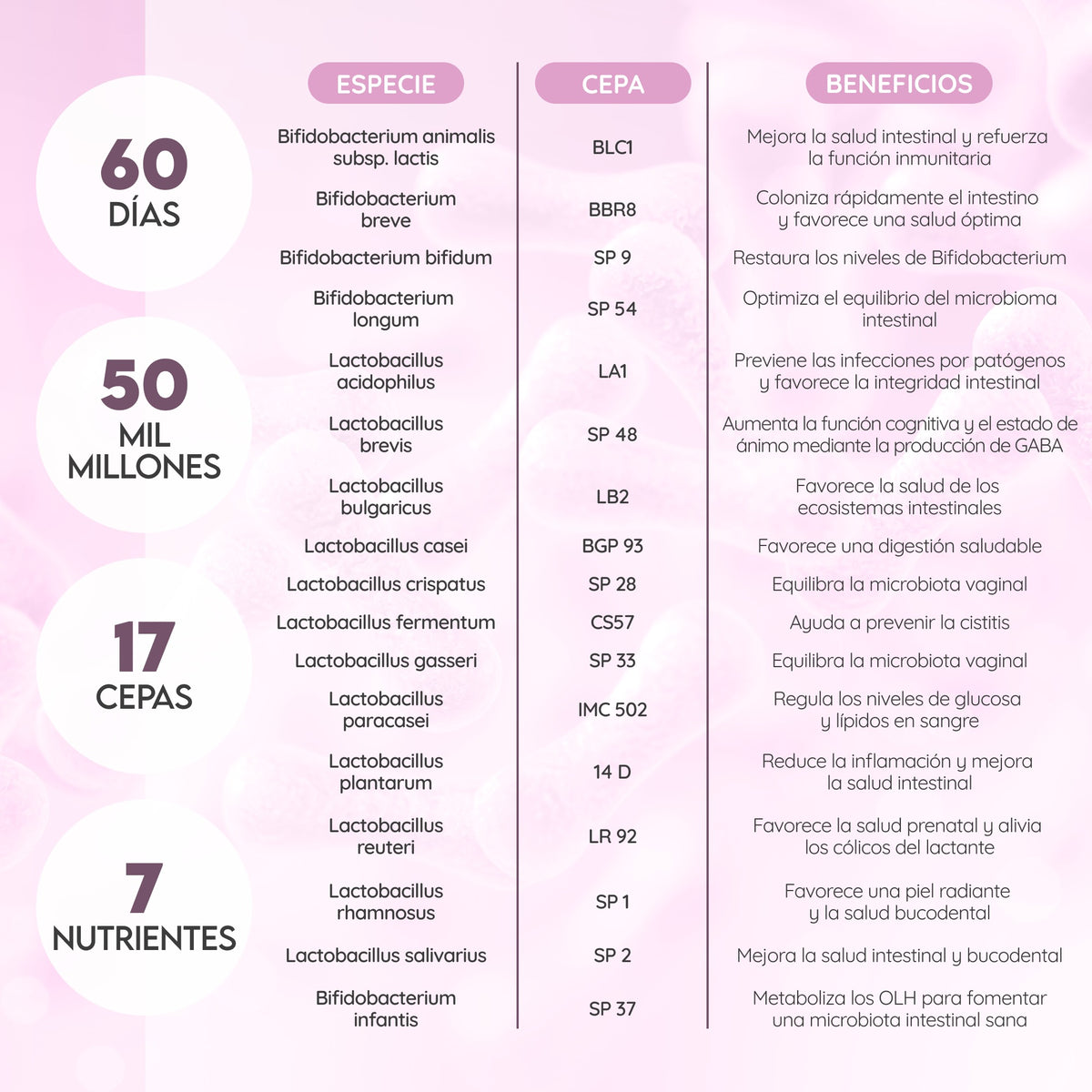 Women's Symbiotics 60 días Bienestar N2 Natural Nutrition 60 cápsulas