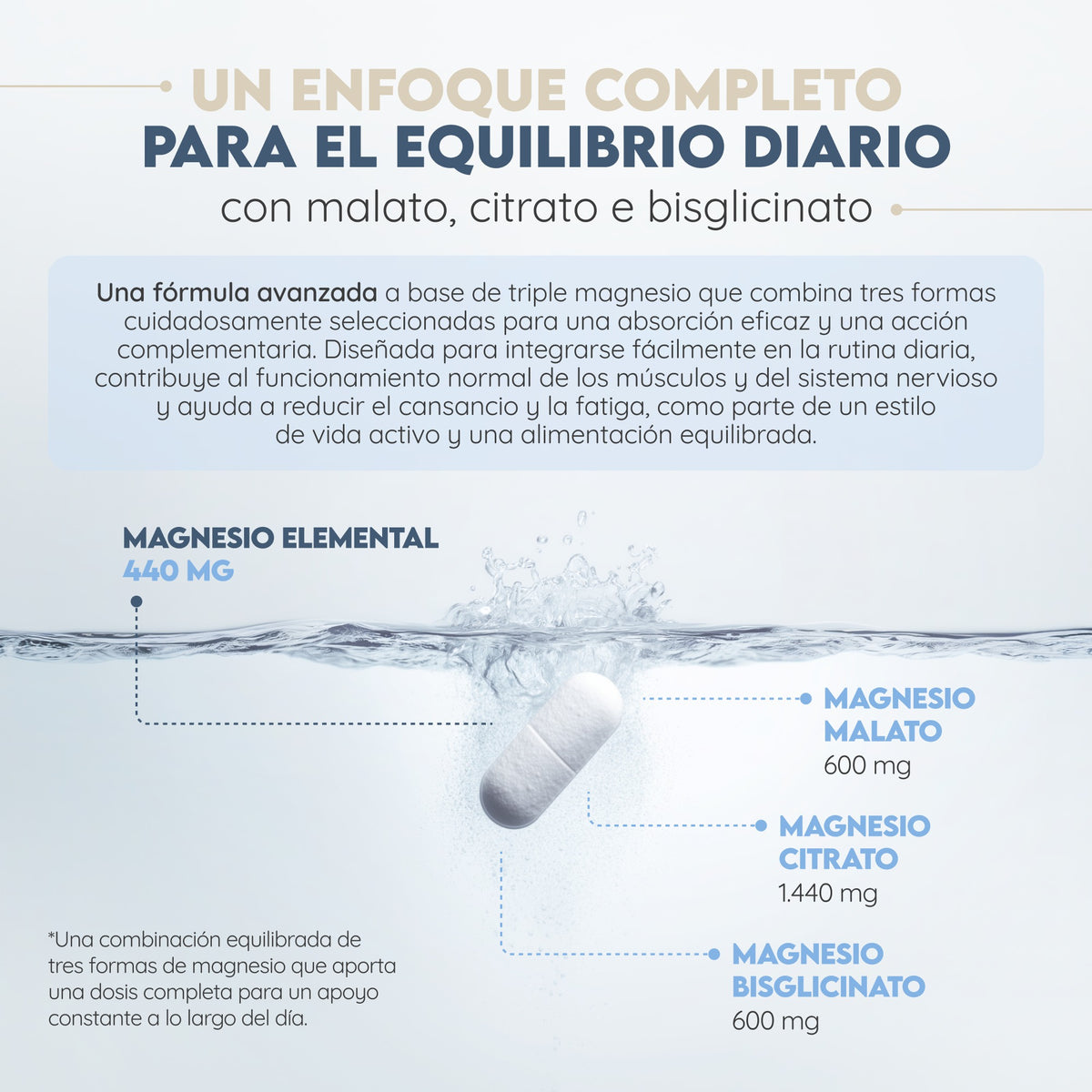 Triple Magnesio Citrato + Malato + Bisglicinato 90 días Relajación N2 Natural Nutrition 180 comprimidos