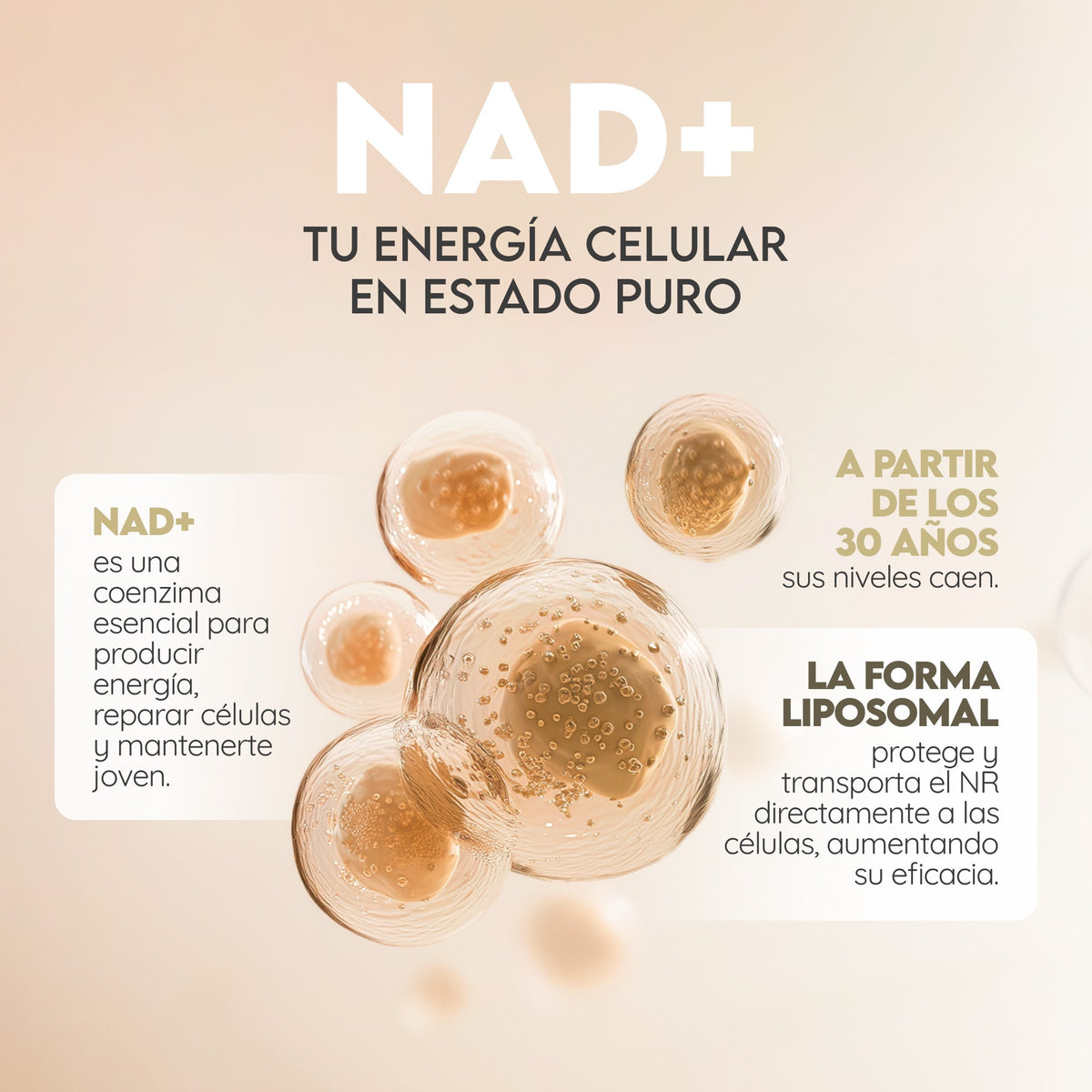 NAD+ Liposomal Antienvejecimiento 30 días Vitalidad N2 Natural Nutrition 60 cápsulas