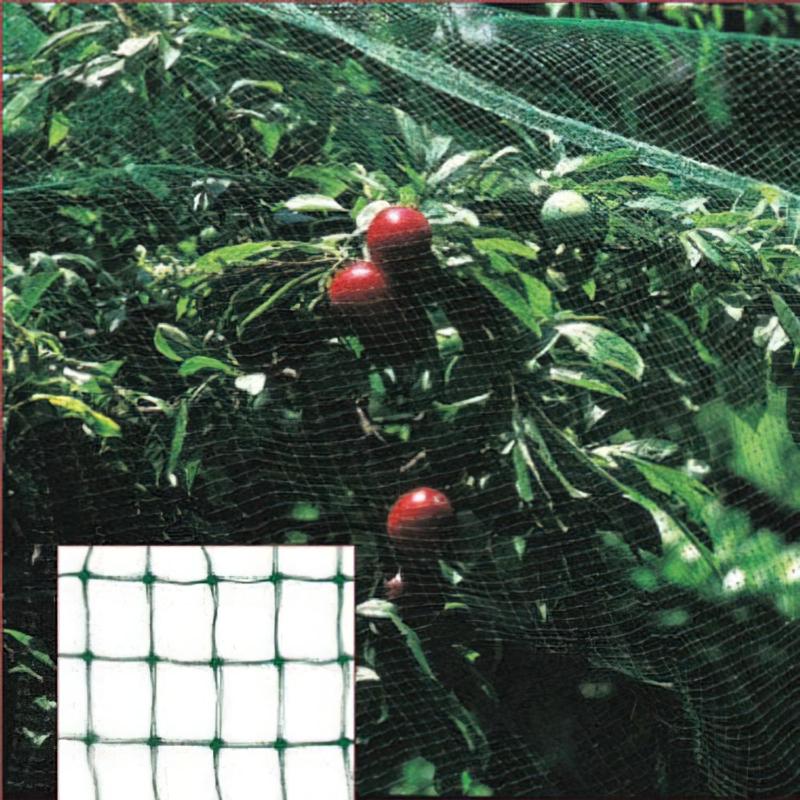 Malla Antipajaros (rollo 4 X 5 Metros) Red Proteger Arboles, Cultivos, Frutas._0