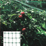 Malla Antipajaros (rollo 2 X 10 Metros) Red Proteger Arboles, Cultivos, Frutas.