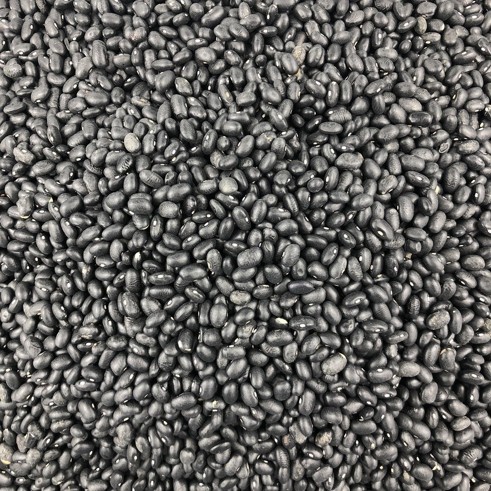 Frijol Negro Ecológico Granel 25 Kg_2