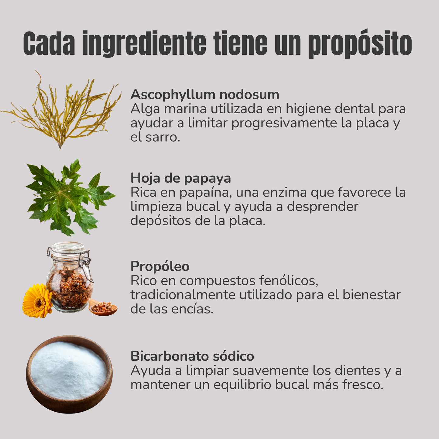 Polvo dental natural para perros y gatos – Limpieza dental, sarro y mal aliento – 100 g_2