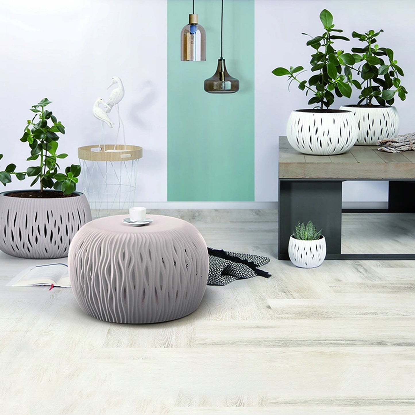 Prosperplast Bowl Sandy De Plástico Con Depósito En Color Antracita, 16,1 (alto) X 23,8 (ancho) X 23,8 (profundo) Cms_4