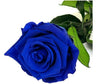 Mundo Eterno Rosa Preservada Azul Oscuro 25cm