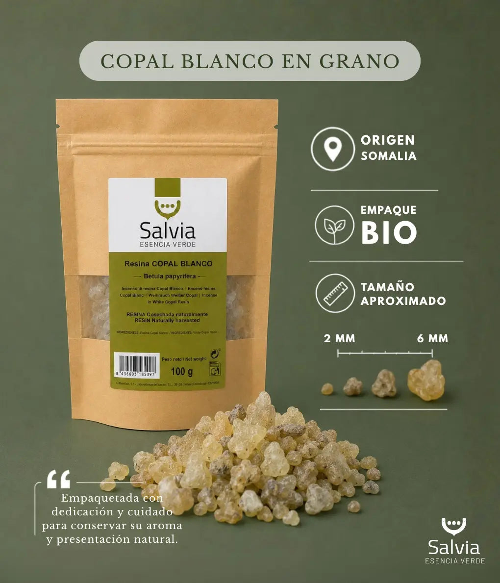 Salvia - Resina Copal Blanco, Granel | 100g_2