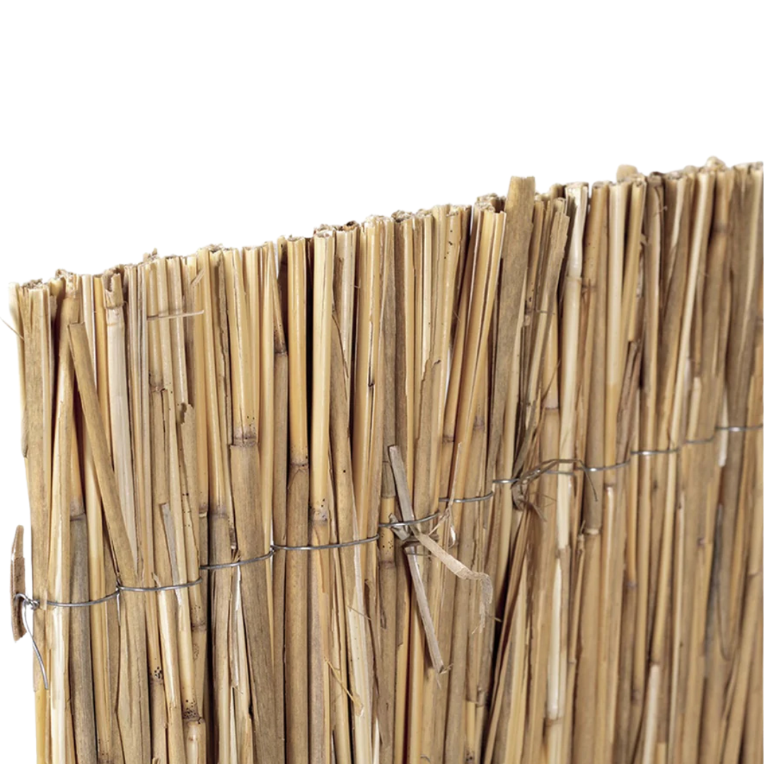 Bambú Pelado Multi Varilla Reed Multi 2x5 M Nortene_1