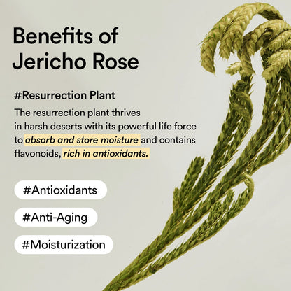Collagen Eye Crème Jericho Rose Tube Abib