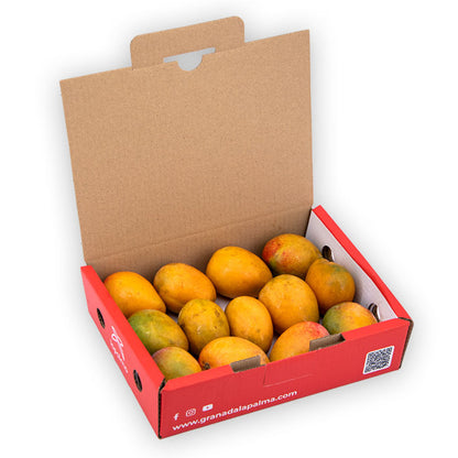 Mini Mango Irwin 1kg Granada La Palma_4