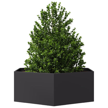 Jardinera Hexagonal Acero Negra 138x120x45 Cm_2