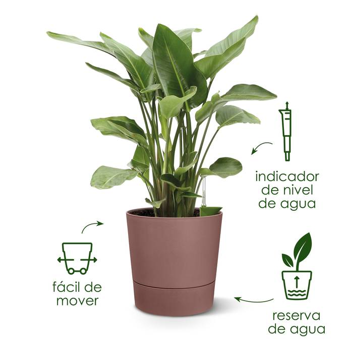Macetero con autoriego Greensense Aquacare Round Elho 35cm light concrete