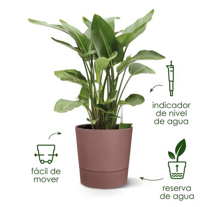 Macetero con autoriego Greensense Aquacare Round Elho 35cm light concrete