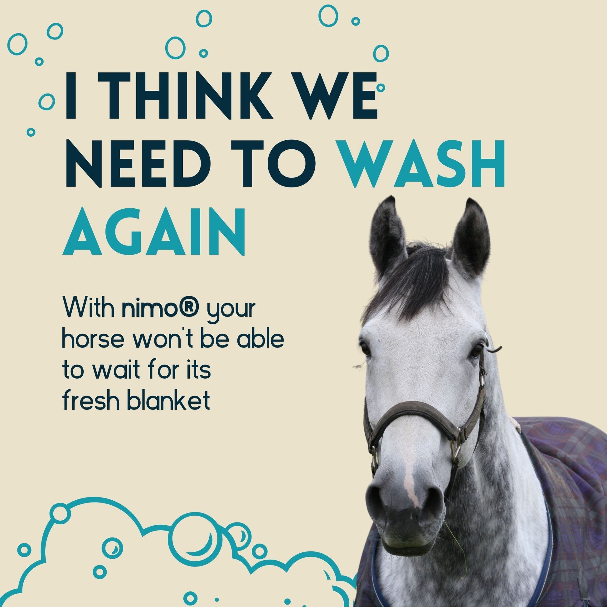 Detergente Para Mantas De Caballo - Nimo - 5 L_1