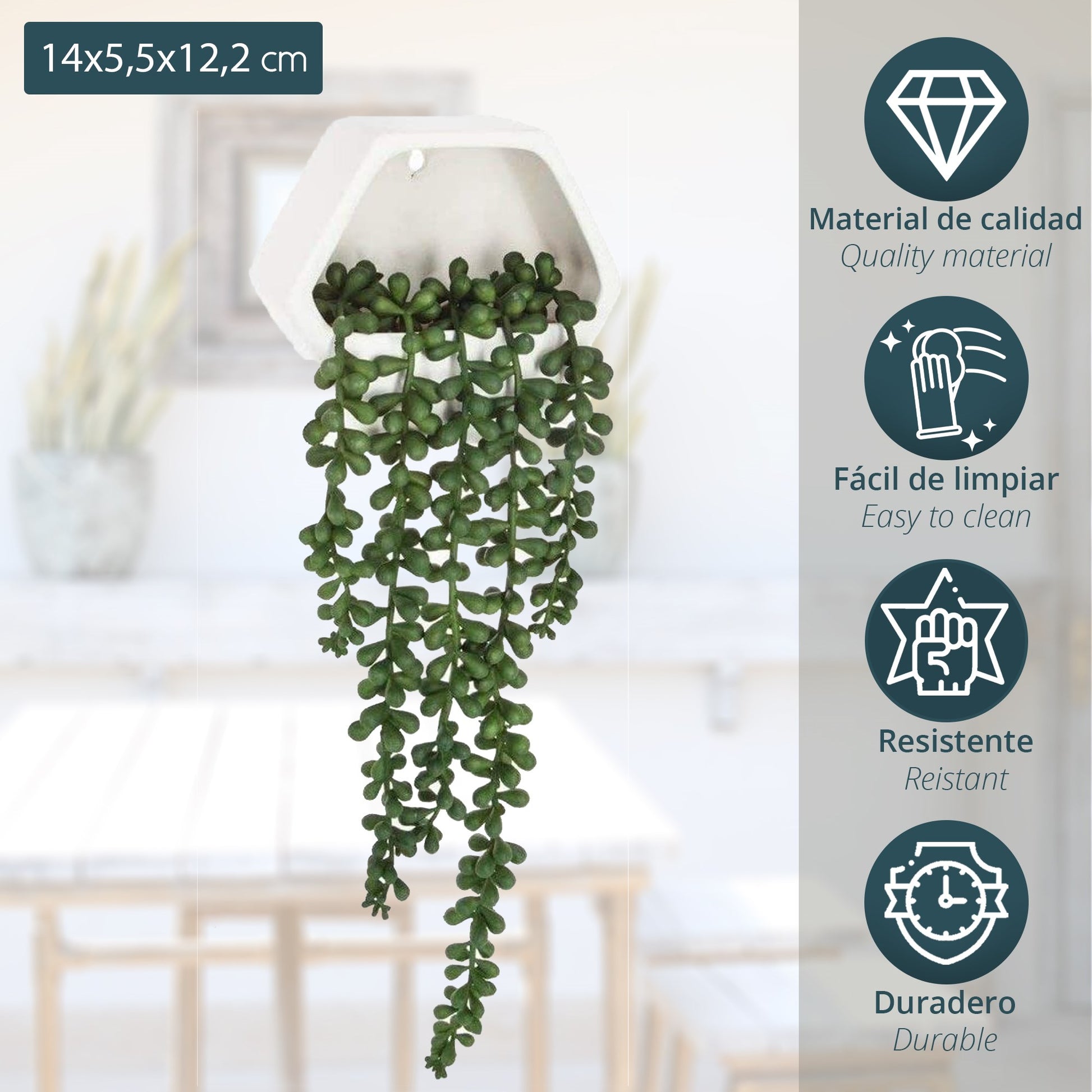 Planta Colgante De Pared Contemporánea- Altura Total Con Planta Caída: 45 Cm_1