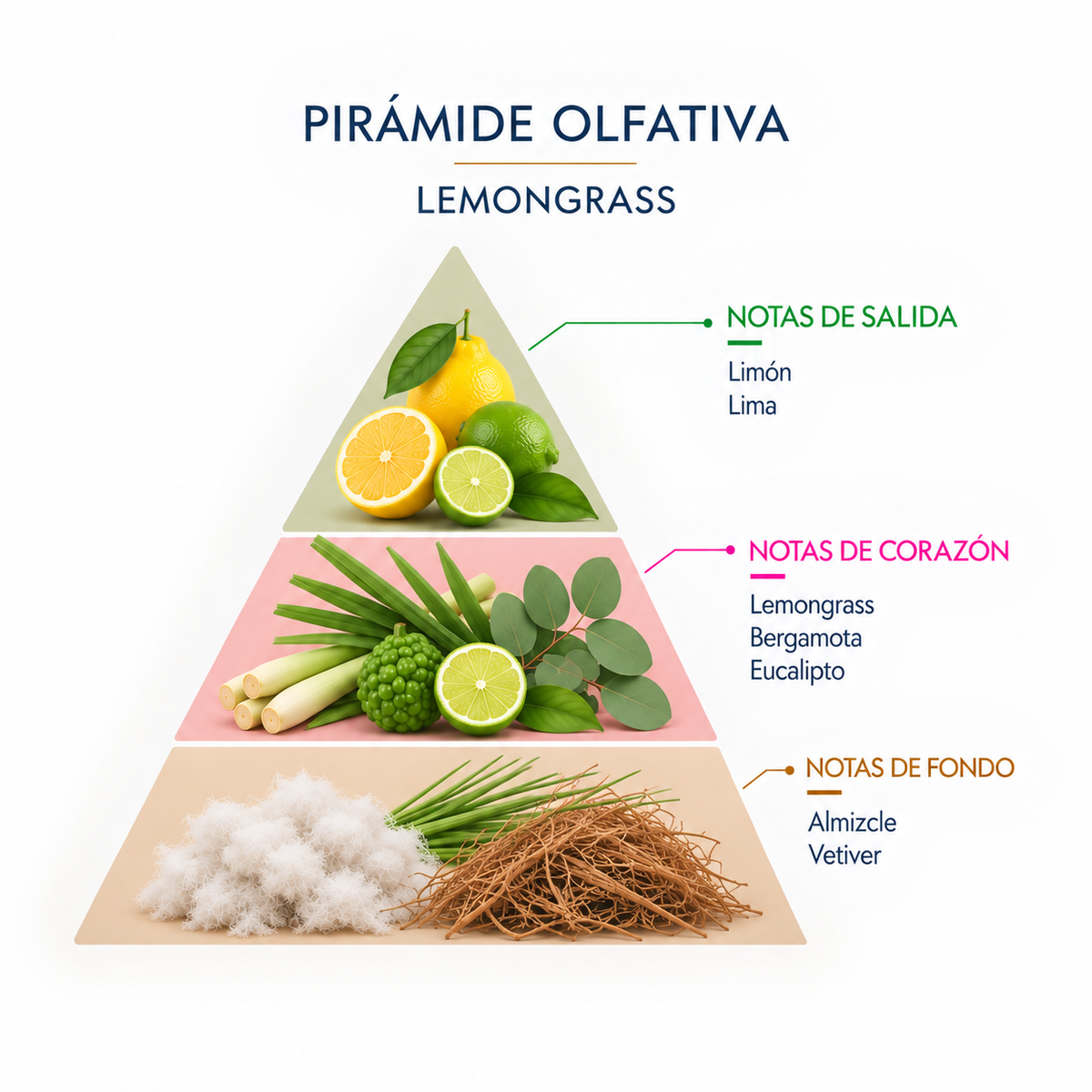 Esencia Natural Lemongrass SYS Aromas 12 ml | Aroma Cítrico y Fresco | Para Quemadores y Humidificadores_3