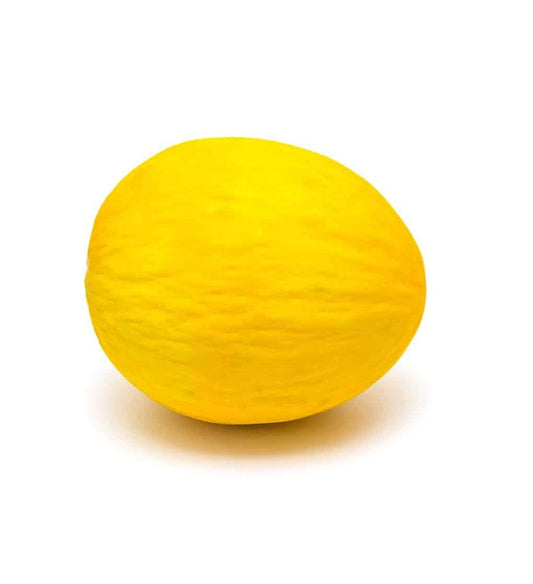 Plantón Melón Amarillo Canario (10 Unidades)_0