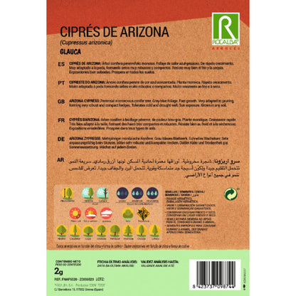 Semillas de Ciprés de Arizona Cipreses arizonica