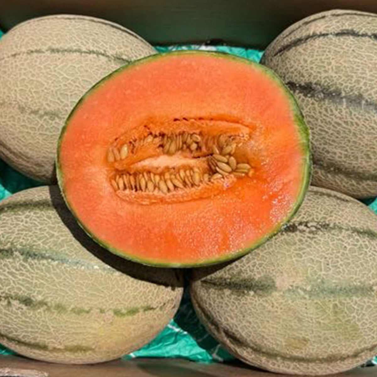 Caja De Melón Cantalupo Tropitop Caja De 2 Unidades (aprox. 3 Kg)_2