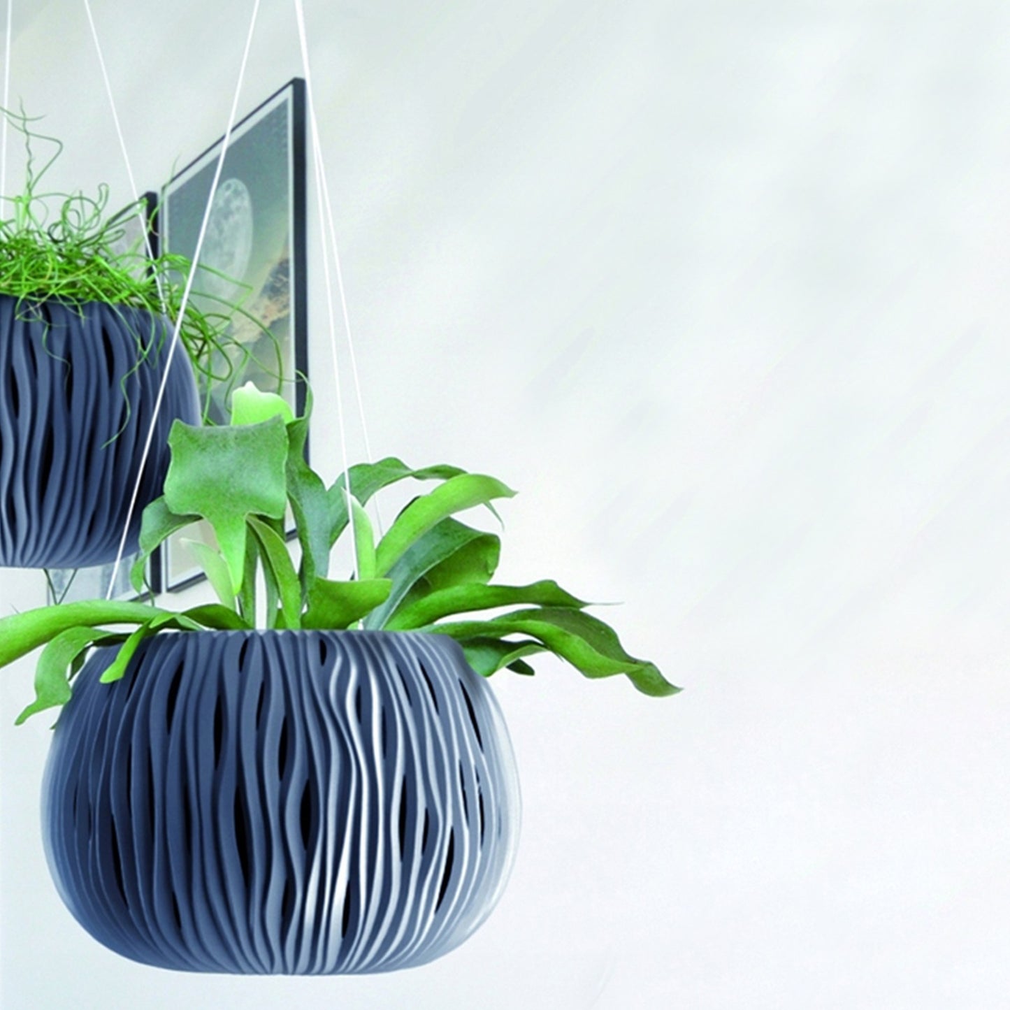 Prosperplast Bowl Sandy Ws De Plástico Con Depósito En Color Antracita, 21,8 (alto) X 37 (ancho) X 37 (profundo) Cms_2