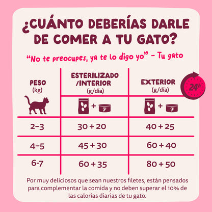 Filetes de pollo con gambas para gatos Edgard & Cooper 70 g
