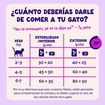 Filetes de salmón y atún para gatos Edgard & Cooper 70 g