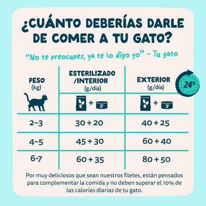 Filetes de atún con gambas para gatos Edgard & Cooper 70 g