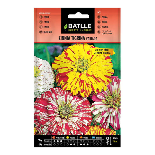 Semillas de Zinnia Tigrina variada Batlle