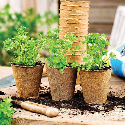 Maceta Semillero biodegradable Planeta Huerto 24 uds