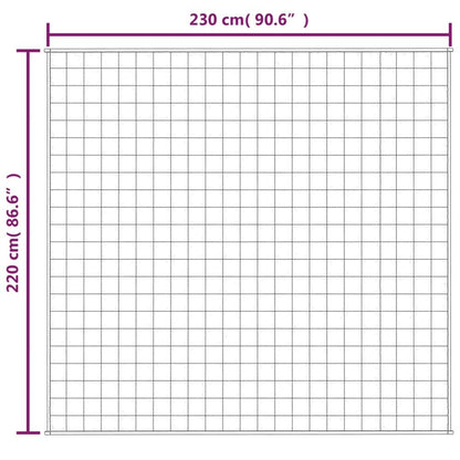 Vidaxl Manta Con Peso Tela Azul 220x230 Cm 11 Kg_2