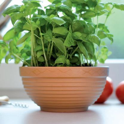 Maceta Misa 10l., Dimensiones (mm) 400x400x173, Color Terracota