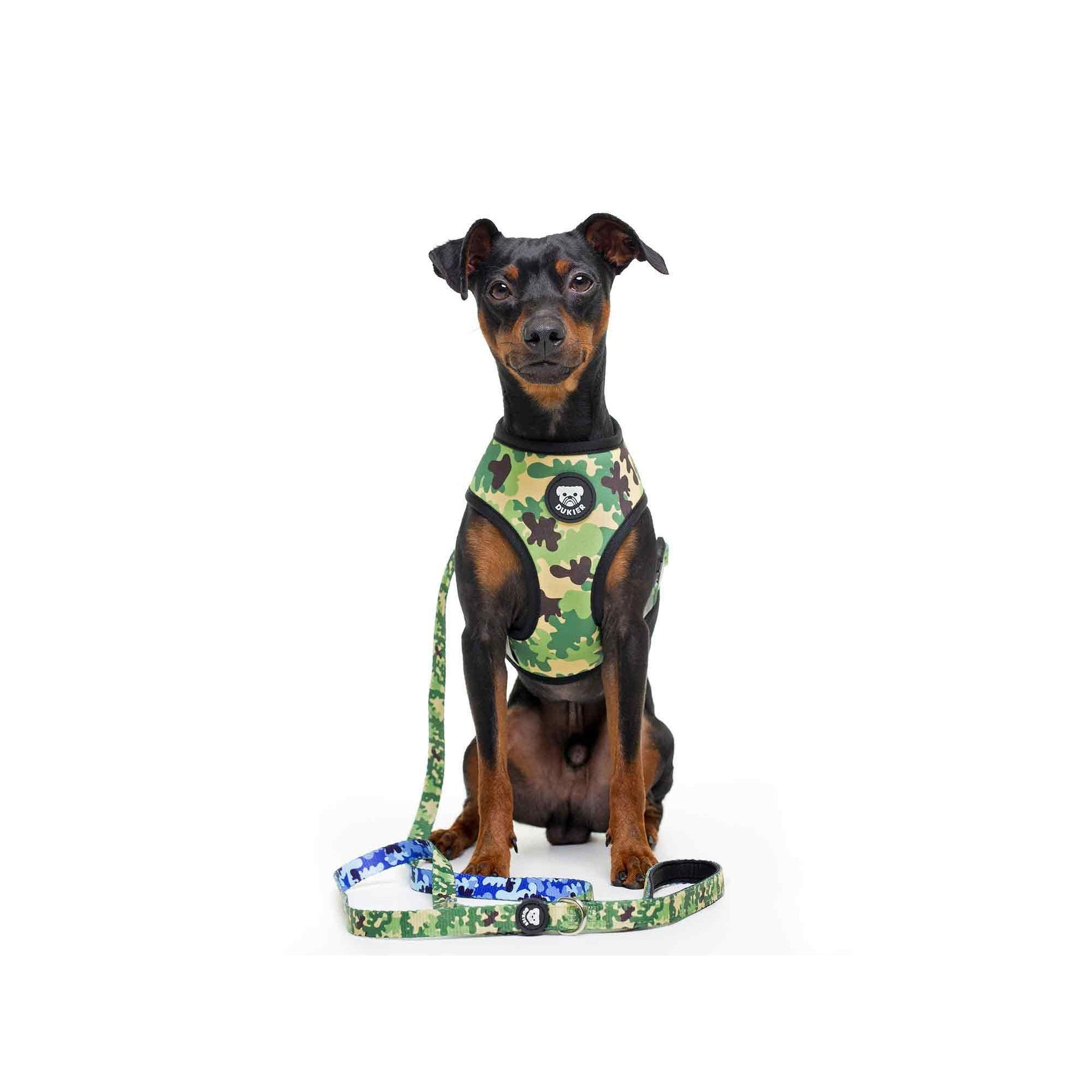 Arnés reversible para perro CAMO Dukier XS