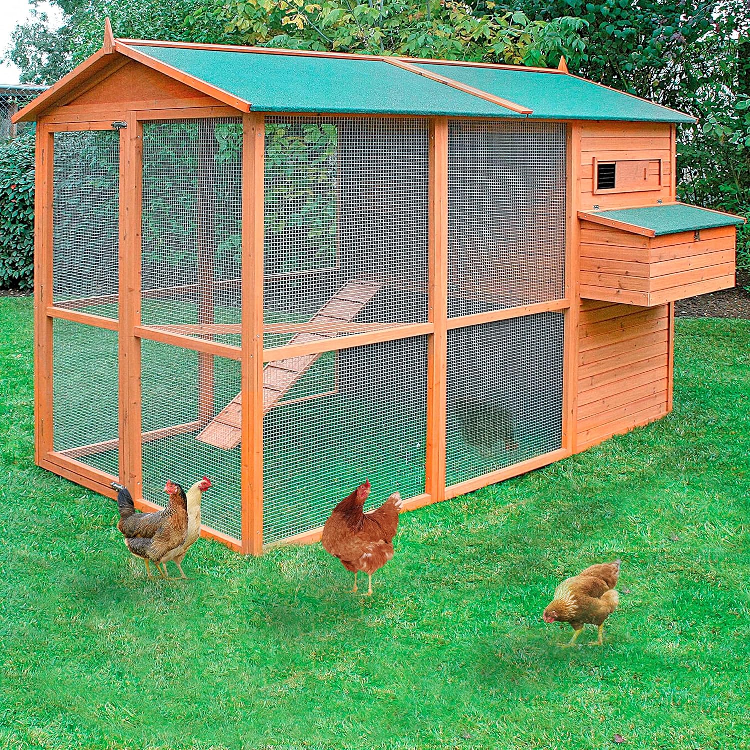 Gallinero Oslo Para 8-12 Gallinas - Gran Tamaño - Refugio Cubierto - Bandeja Extraíble - Incluye Perchas Y Ponedero_0