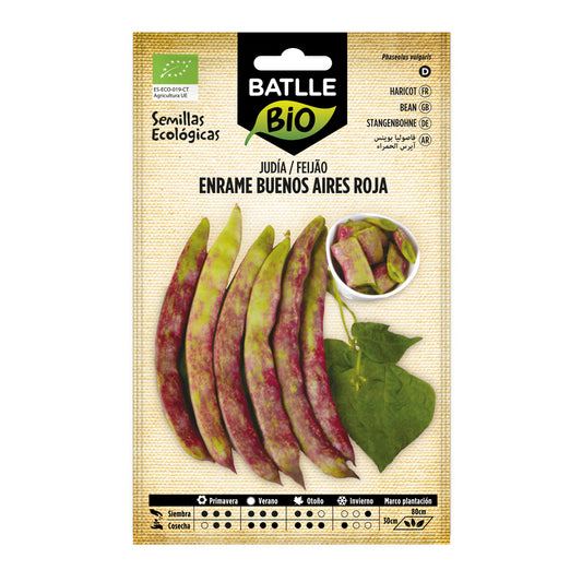 Semillas de Judía Buenos Aires roja ecológicas Batlle