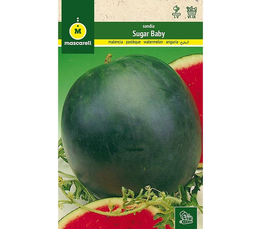 Semillas Sandia Sugar Baby_0