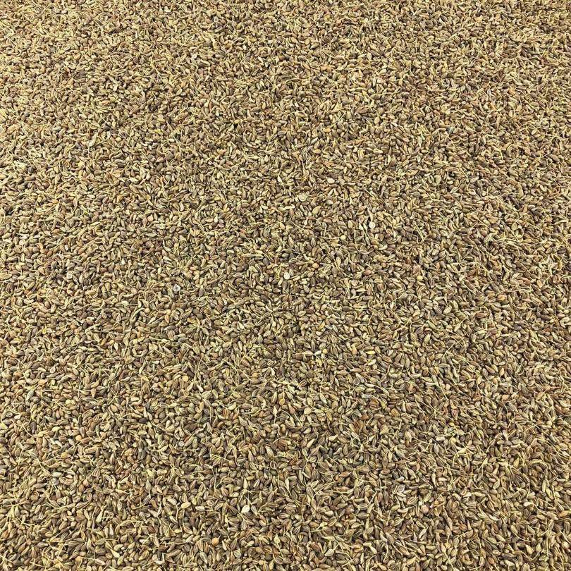 Semillas De Anis Verde Bio Granel 10 Kg_0