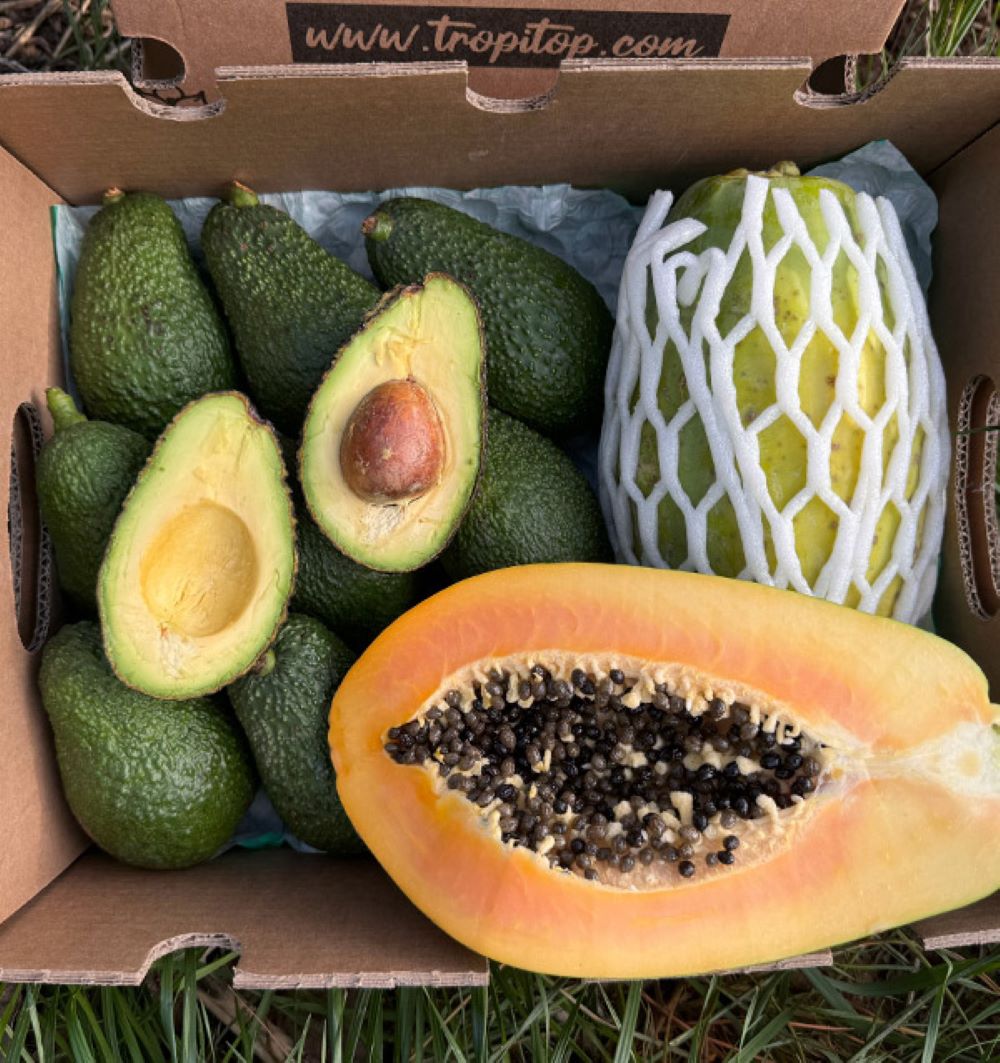 Caja 4kg Mix Aguacate Hass Y Papaya Tropitop_0
