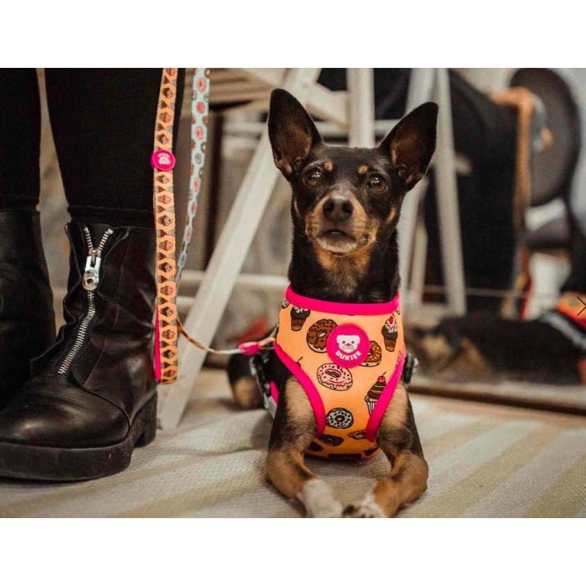 Arnés reversible para perro CUPCAKES Dukier XL