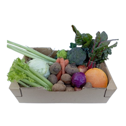 Cesta de verduras de temporada Bio_0
