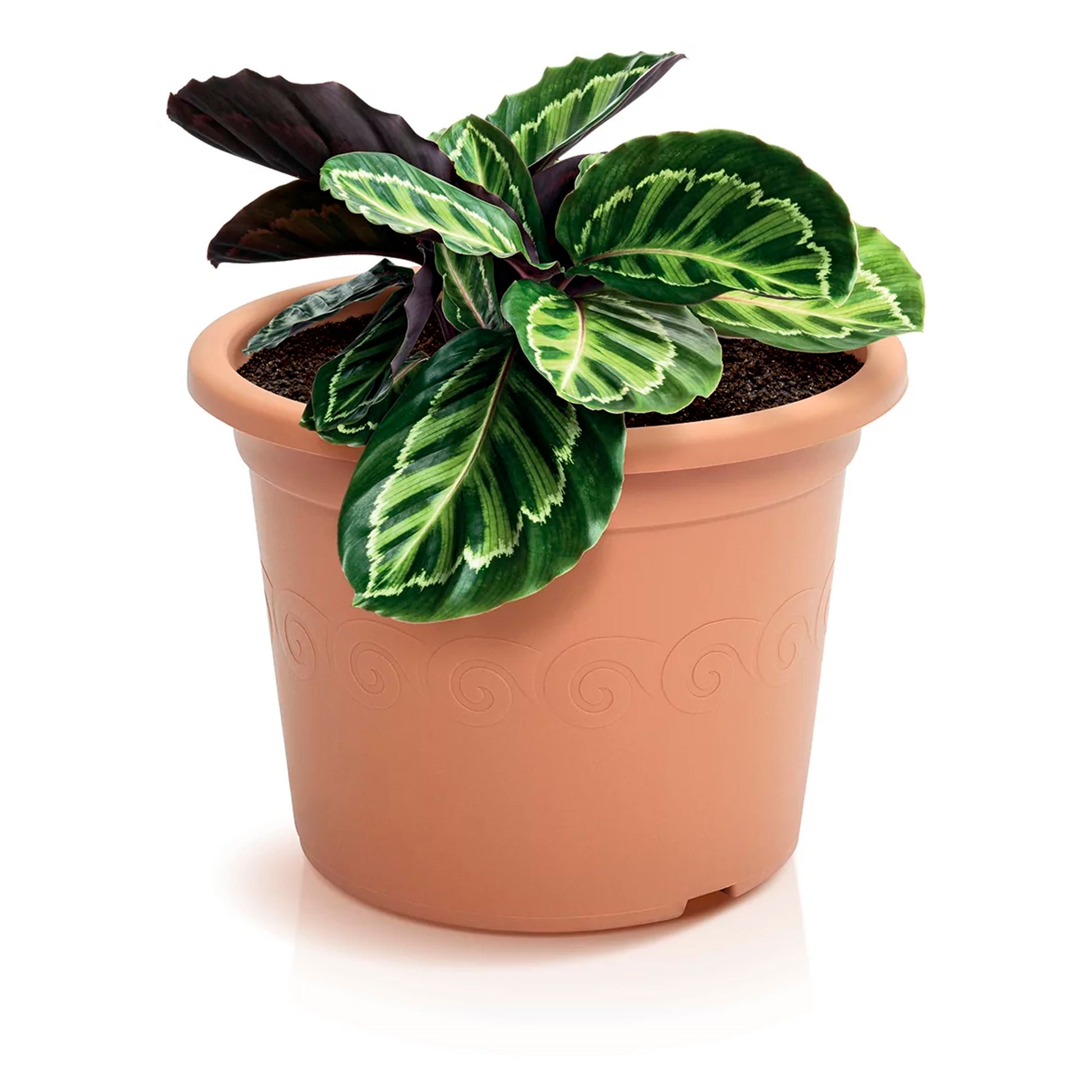 Maceta Plastica 3,5l., Dimensiones (mm) 230x230x174, Color Terracota_3