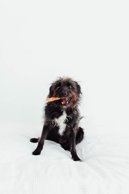 Bimordiscos Palitos De Piel De Ternera Enrollados Con Pollo Deshidratado - 60 Uds. 60 Uds._2