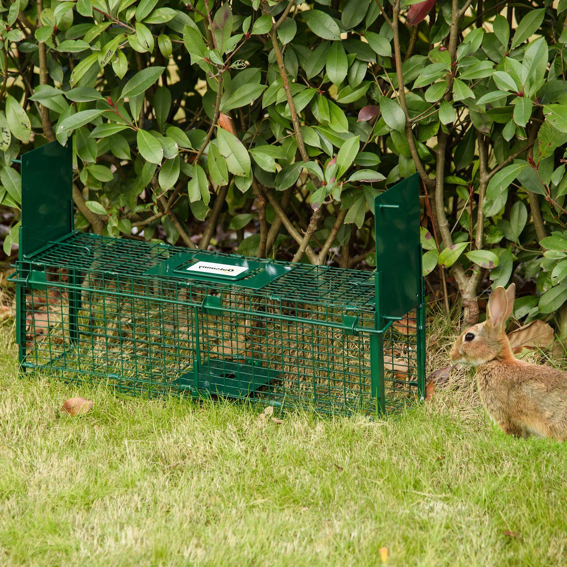 Outsunny Trampa Para Animales Vivos 60x18x20 Cm Con 2 Puertas Verde_1