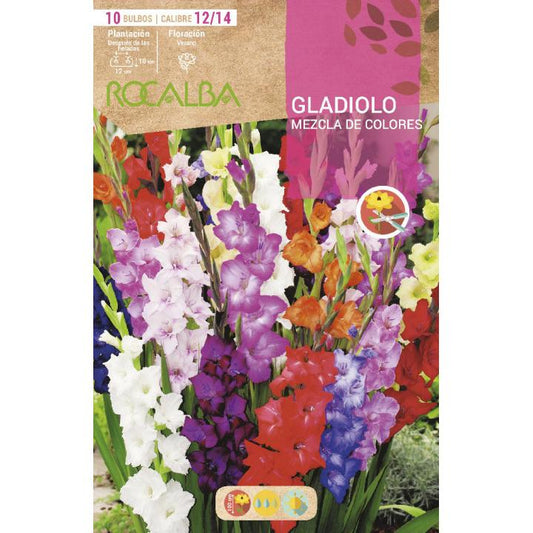 Bulbo gladiolo mezcla 10 unidades